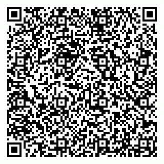 vCard 79294193003