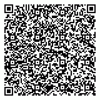 vCard 79294193203