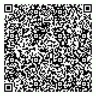 vCard 79294193303