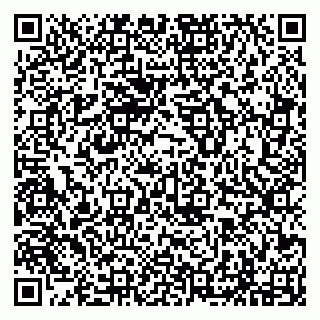 vCard 79294193333
