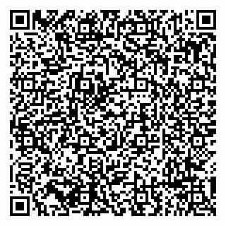 vCard 79294193335