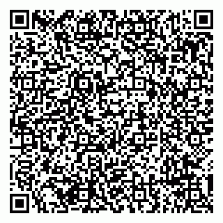 vCard 79294193399