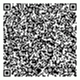 vCard 79294193402