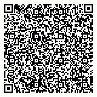 vCard 79294193501