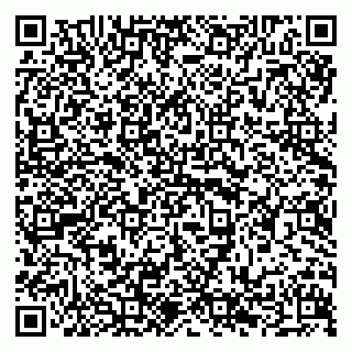 vCard 79294193733