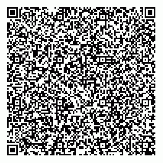 vCard 79294194303