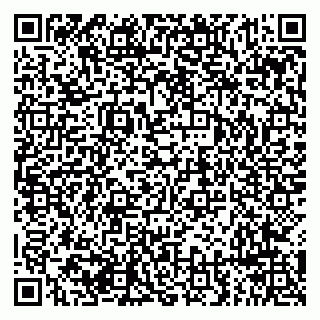 vCard 79294195203