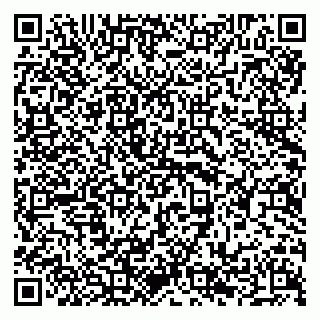 vCard 79294195705