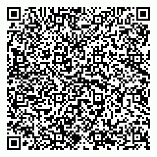 vCard 79294196013