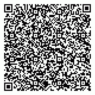 vCard 79294196100