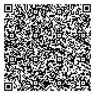 vCard 79294196102