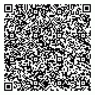 vCard 79294196288