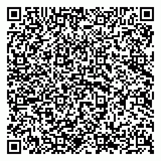 vCard 79294196306
