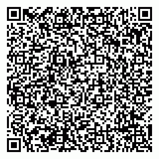 vCard 79294196307