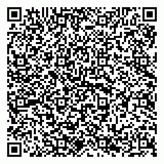 vCard 79294196308