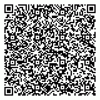 vCard 79294196310