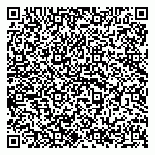 vCard 79294196313