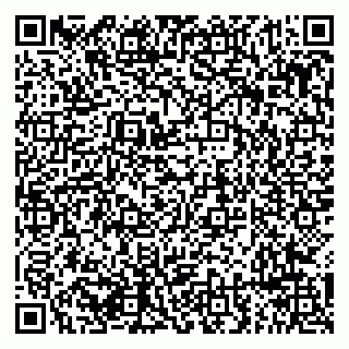 vCard 79294196317
