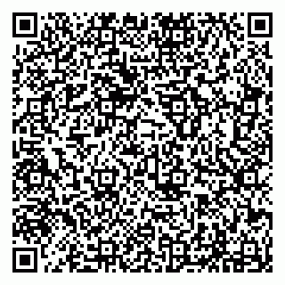 vCard 79294196335