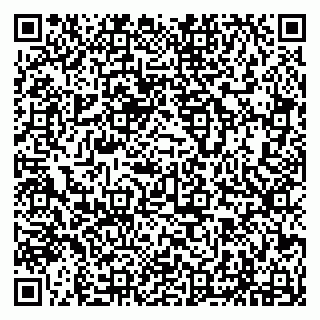 vCard 79294196338
