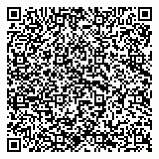 vCard 79294196384