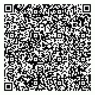vCard 79294196385