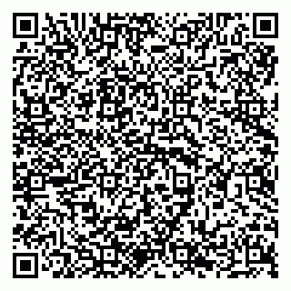 vCard 79294196751