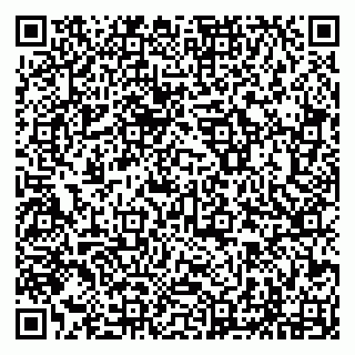 vCard 79294197167