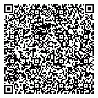vCard 79294197263