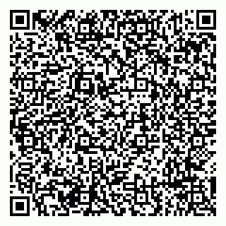 vCard 79294197271