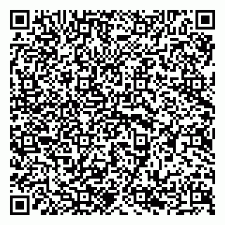 vCard 79294197300