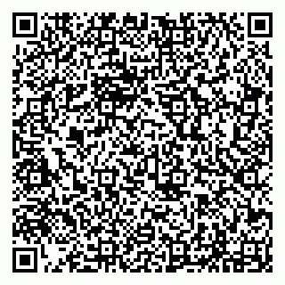 vCard 79294197301