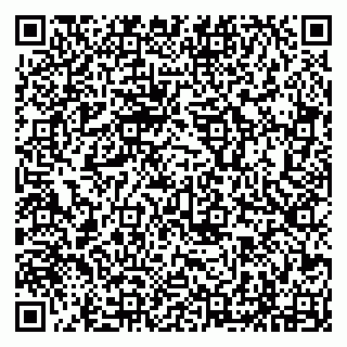 vCard 79294197311