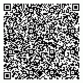vCard 79294197313
