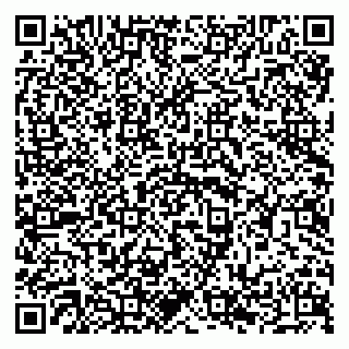 vCard 79294197314