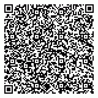 vCard 79294197315