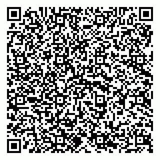 vCard 79294197321