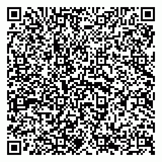 vCard 79294197329
