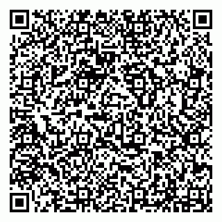 vCard 79294197335