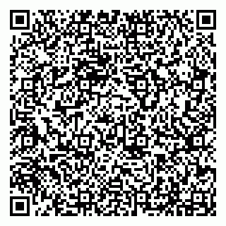 vCard 79294197370