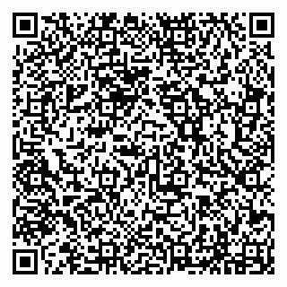 vCard 79294197387