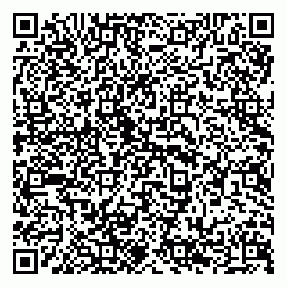 vCard 79294197399