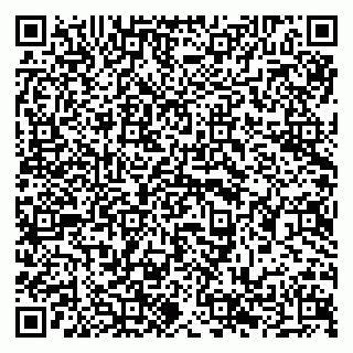 vCard 79294197877