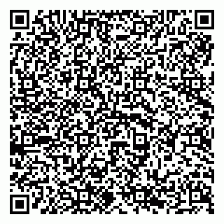 vCard 79294198501