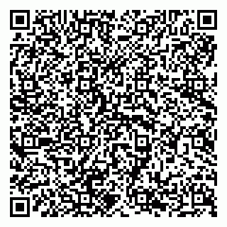 vCard 79294198517