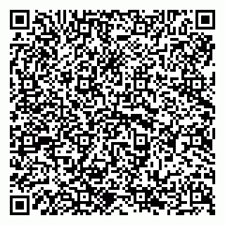 vCard 79294198523