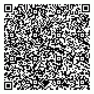 vCard 79294198529