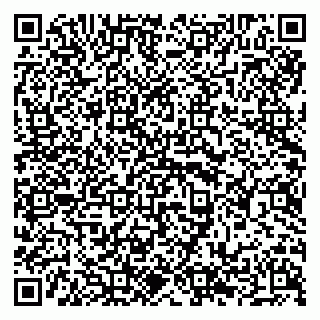 vCard 79294198531