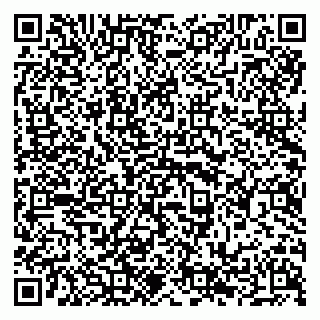 vCard 79294198533