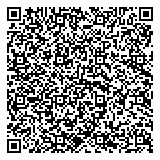 vCard 79294198705